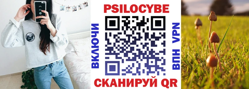 Купить закладки  Ейск  Галлюциногенные грибы Cubensis 